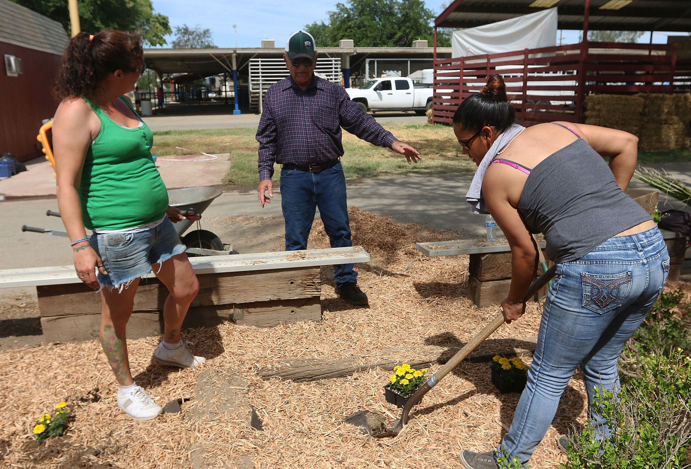 Kings Fair cleanup by volunteers
